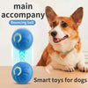 Mr Duke™ Smart Dog Ball